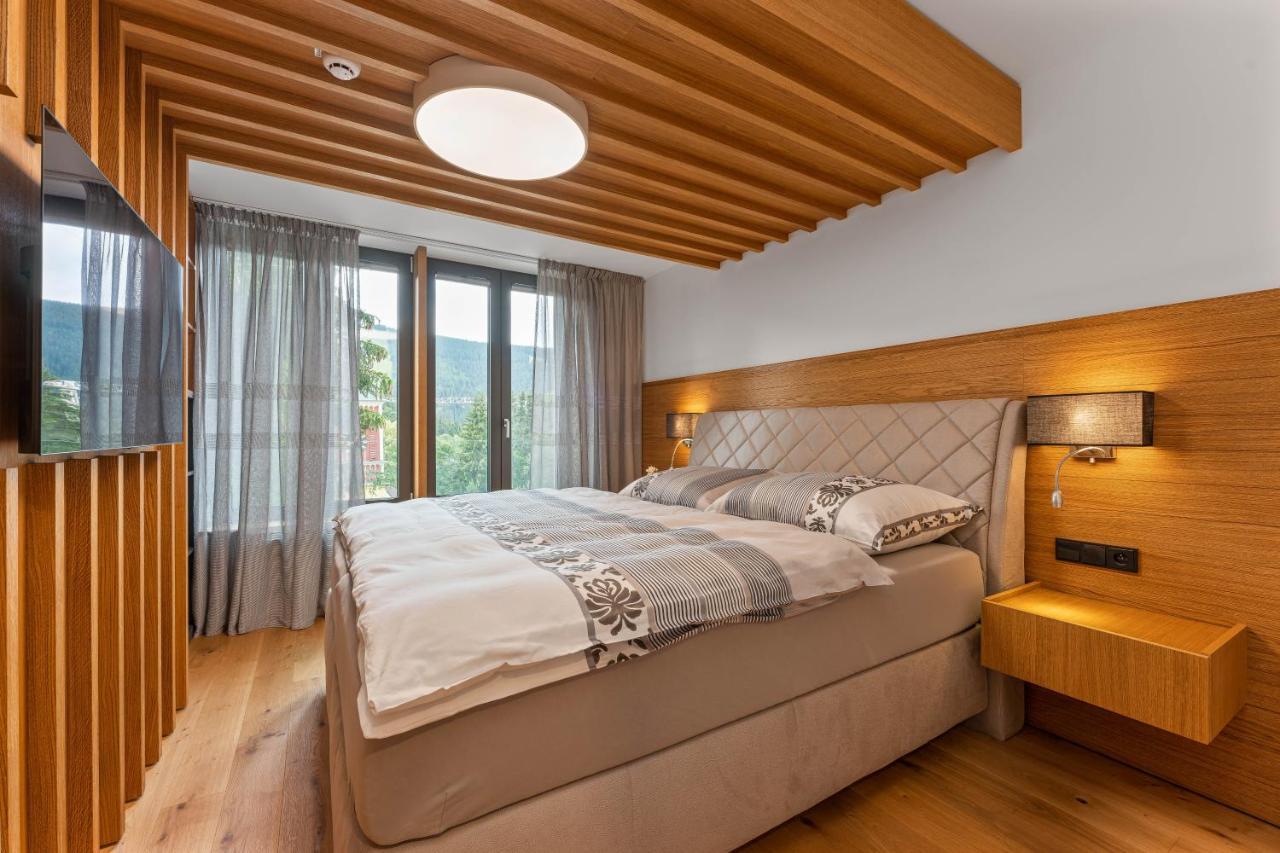 Appartement Koubek - Utulny S Vyhledem A Parkovanim Špindlerŭv Mlýn